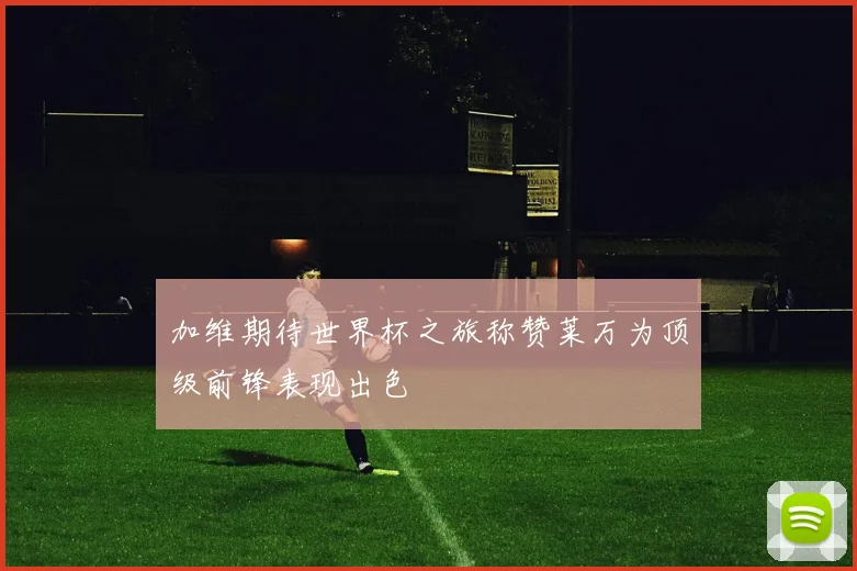 加维期待世界杯之旅称赞莱万为顶级前锋表现出色